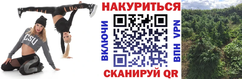 Купить наркотики Оренбург Галлюциногенные грибы  Мефедрон  ГАШ  A-PVP  Бошки Шишки  КОКАИН 