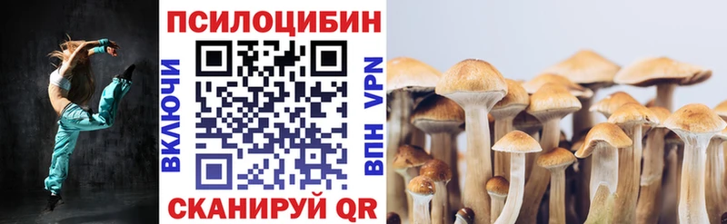 Псилоцибиновые грибы мицелий закладки Оренбург