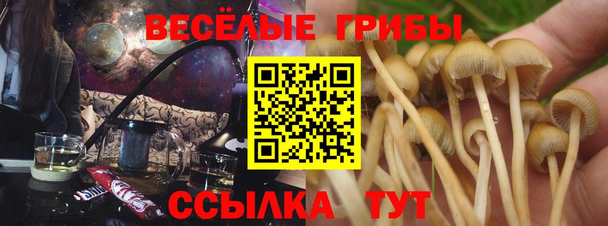 Псилоцибиновые грибы Psilocybe  Псилоцибиновые грибы MAGIC MUSHROOMS  Вход с VPN  наркотики  Оренбург 