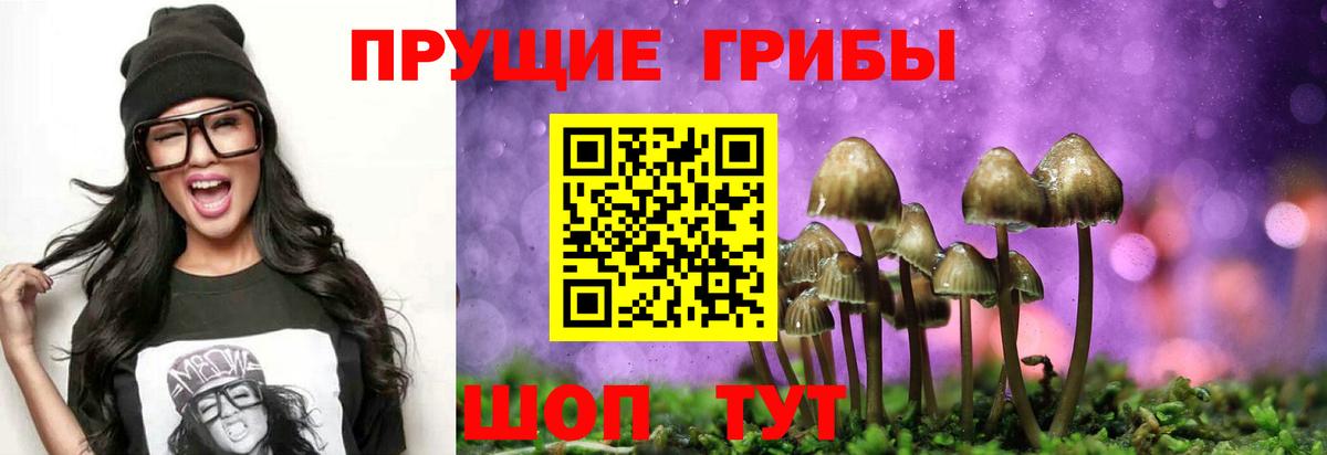 Галлюциногенные грибы мухоморы Оренбург